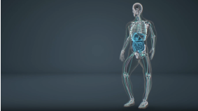 role of fgf23